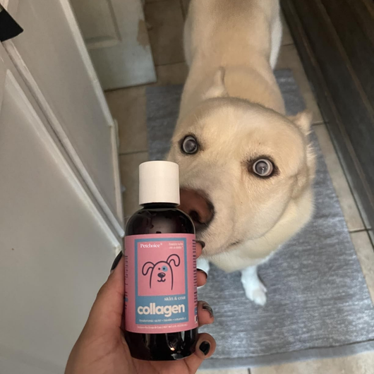Petchoice™ Collagen