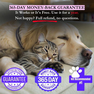 Petchoice™ Collagen