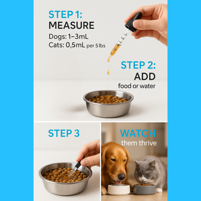 Petchoice™ Collagen