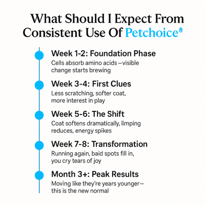 Petchoice™ Collagen