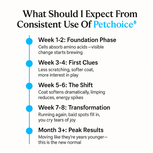Petchoice™ Collagen