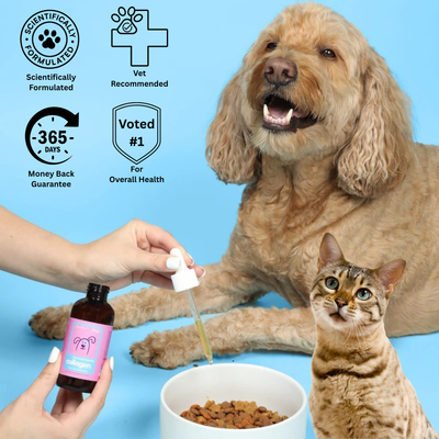 Petchoice™ Collagen