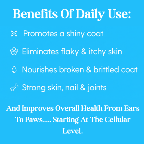 Petchoice™ Collagen