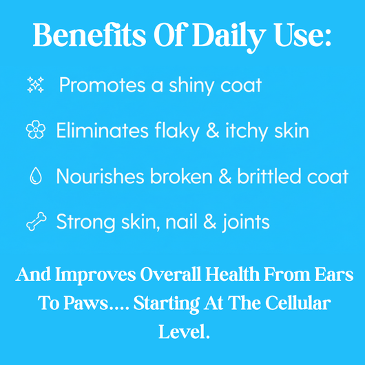 Petchoice™ Collagen