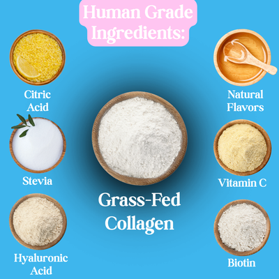 Petchoice™ Collagen