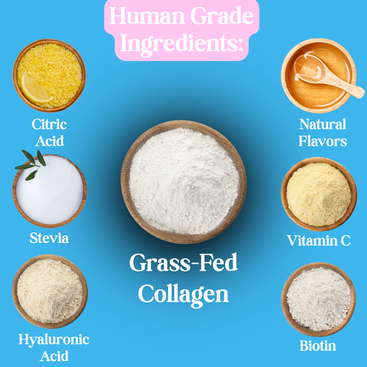 Petchoice™ Collagen