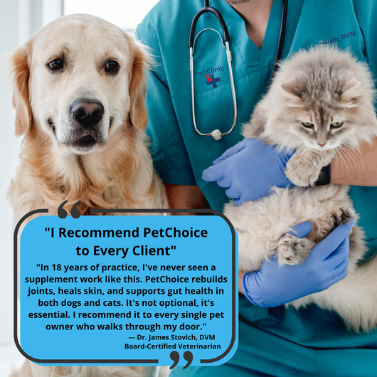 Petchoice™ Collagen