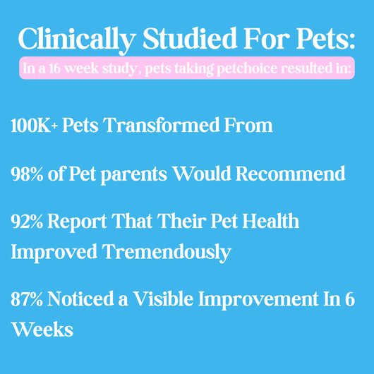 Petchoice™ Collagen