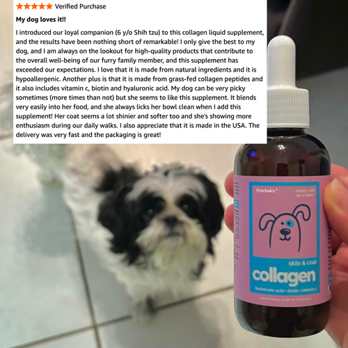 Petchoice™ Collagen