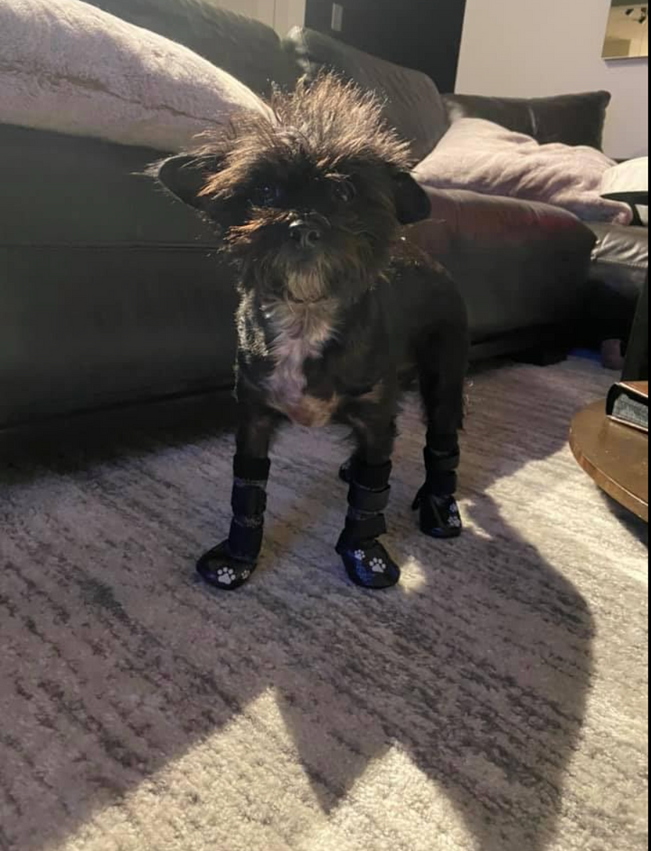 Review by Christina V