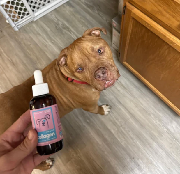 Review by Christina A